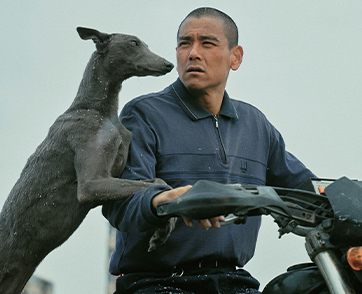 “Black Dog สี่ขาหัวใจไม่ดำ” ชนะเลิศ Un Certain Regard  จากเทศกาลหนังเมืองคานส์ 2024 “ไม่ว่าคนหรือหมาเราต่างก็มีหัวใจ” 10 ธันวาคม ในโรงภาพยนตร์